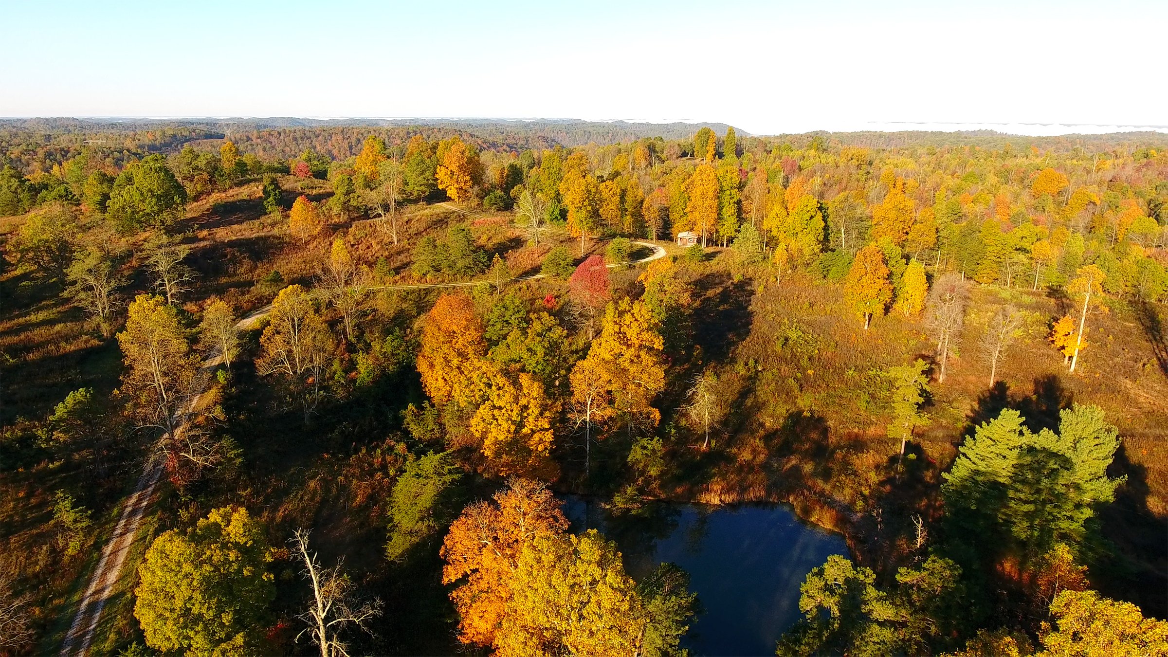 Property photo 24 - LAND AUCTION - 1,682+/- ACRES OFFERED IN 17 TRACTS IN LEWIS & GREENUP COUNTIES, KENTUCKY